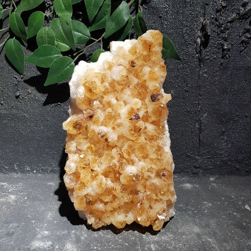 Citrine Standing Cluster (heat treated. approx. 25x15x8cm)
