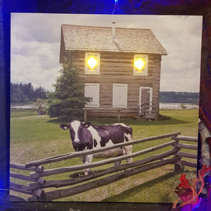 Cow LED Picture