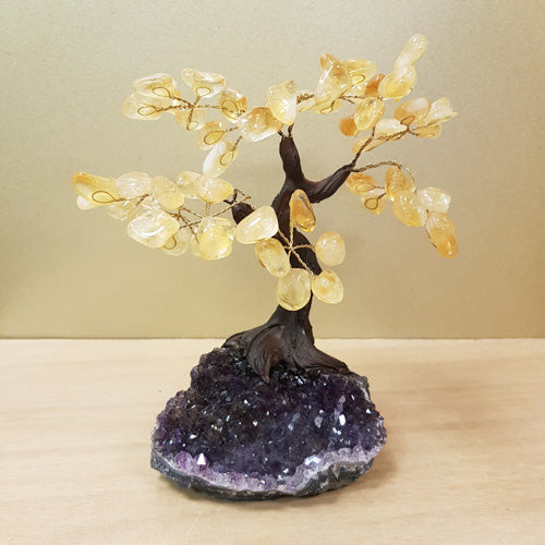 Citrine Tree on Amethyst Cluster (heat treated. approx. 22x17x10cm)