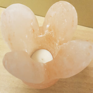 Himalayan Salt Tulip Oil Burner