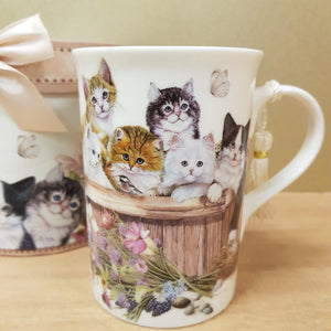 Cats Mug in Beautiful Gift Box 