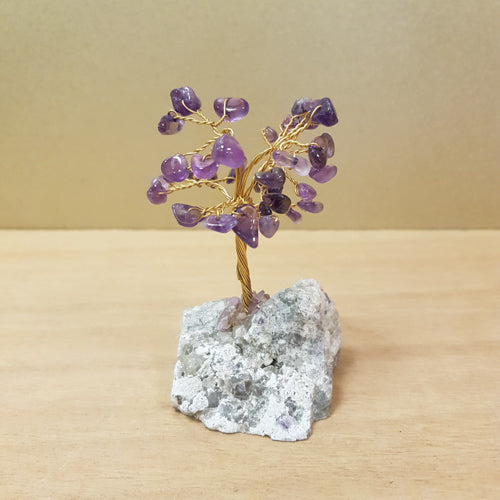 Amethyst Crystal Tree on Fluorite Rough Rock Base (assorted. approx. 8x6x4)