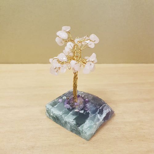 Rose Quartz Crystal Tree on Fluorite Rough Rock Base (assorted. approx. 8x6x4)