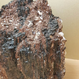 Black Tourmaline with Mica (approx. 20x19x10cm)