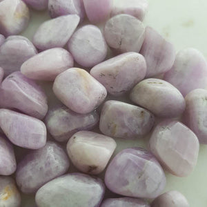 Kunzite Tumble (assorted)