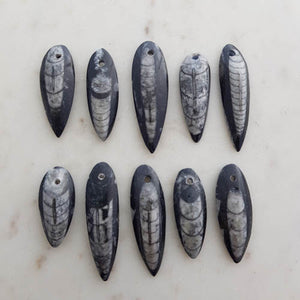 Orthoceras Fossil Pendant (360million years old. assorted)