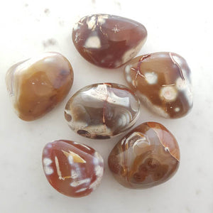 Orca Agate Palm Stone (assorted. approx. 4.3-5.5x3-3.1cm)