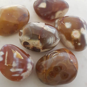 Orca Agate Palm Stone (assorted. approx. 4.3-5.5x3-3.1cm)
