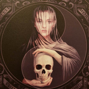 Beyond the Veil Canvas by Anne Stokes (approx 25x19cm)