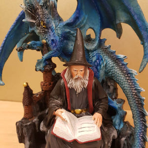 Dragon Guarding Wizard With Spellbook 