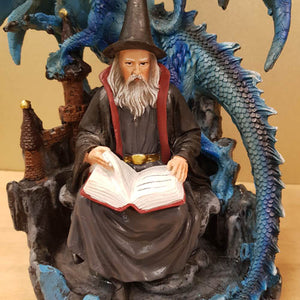 Dragon Guarding Wizard With Spellbook 