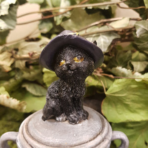 Black Cat on Triple Moon Cauldron Trinket Box(approx 10x8x14cm)