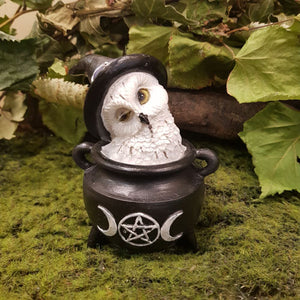 Winking Snowy Owl In Cauldron (approx 7.5x6x9cm)