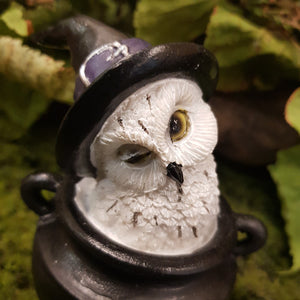 Winking Snowy Owl In Cauldron (approx 7.5x6x9cm)