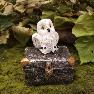 Snowy Owl On Trinket Box (approx 10x7.5x5cm)