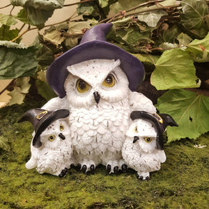 Witchy Owl Family (approx 13x11x6cm)