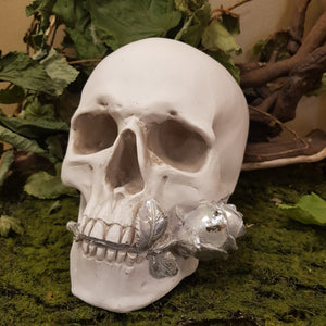 White Skull with Silver Rose (approx 21x15x16cm)