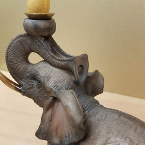 Elephant Backflow Burner (approx