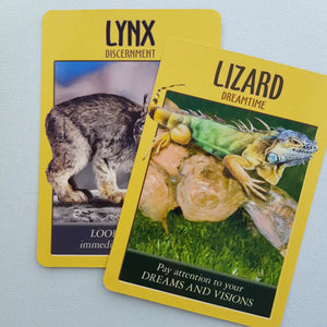 Power Animal Oracle Cards