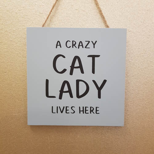 Crazy Cat Lady MDF Hanging Sign ( approx 12x12cm)