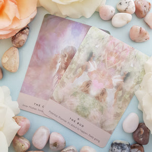 The Rose Oracle Cards