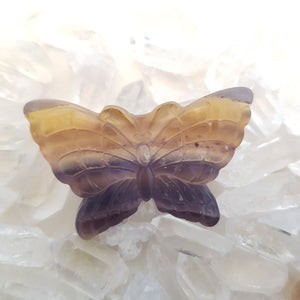 Rainbow Fluorite Butterfly