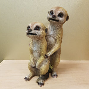 Meerkat Couple 