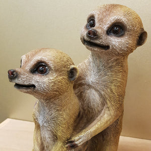 Meerkat Couple 