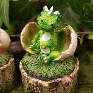 Dragon Hatching Trinket Box