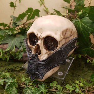 Skull with Bat Mask (approx. 12x15x9cm)