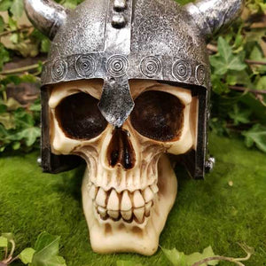 Viking Skull (.approx 12x13x9.5cm)