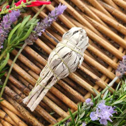 White Sage Cleansing & Blessing  Stick/Bundle (torch style. approx 10cm)
