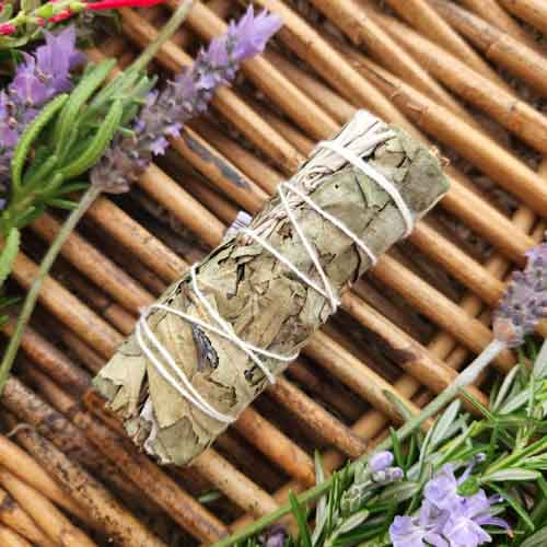 White Sage & Eucalyptus Cleansing and Blessing Stick (approx. 12x3cm)