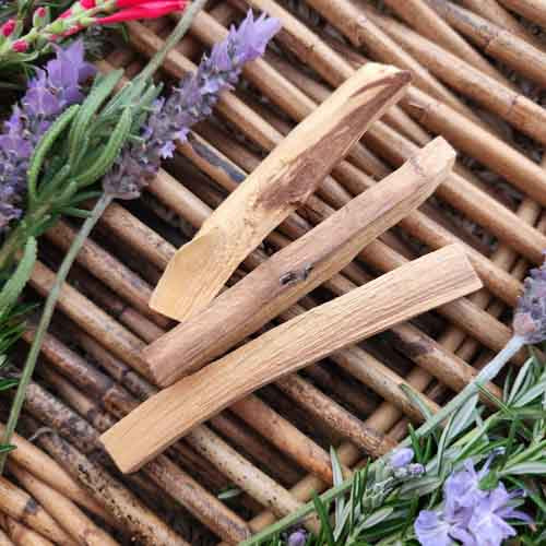Palo Santo Individual Cleansing & Blessing Stick (organic. approx. 9-11cm long)
