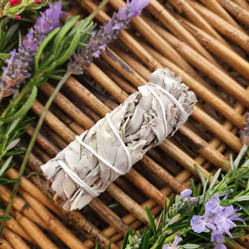 White Sage Cleansing & Blessing Stick/Bundle (approx. 12x3cm)