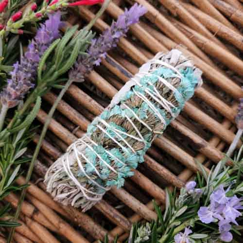 White Sage with Blue Sinuata Flowers (approx. 10-11cm)