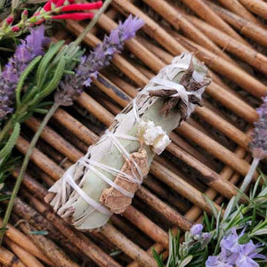 White Sage with Copal Resin, Ginger & Anise Star Cleansing & Blessing Stick/Bundle