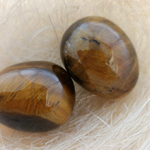 Gold Tiger's Eye Egg