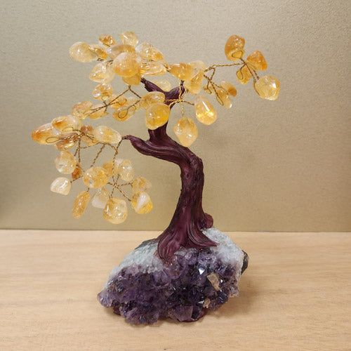 Citrine (heat treated) Tree on Amethyst Cluster (approx. 17.6x11.8x7.5cm)