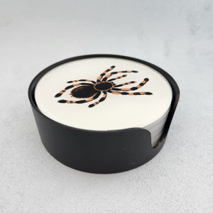 Spider Coasters