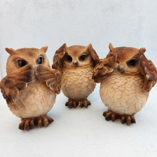 Wise Owls (assorted. approx.12x9cm)