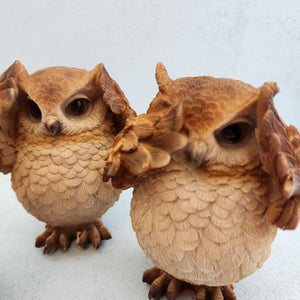 Wise Owls Assorted