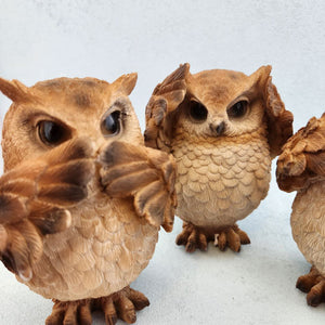 Wise Owls Assorted
