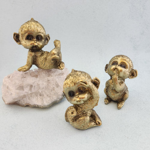 Gold Monkey (assorted approx. 7x5cm)