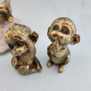 Gold Monkeys