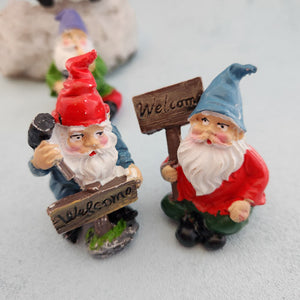 Gnomes Assorted