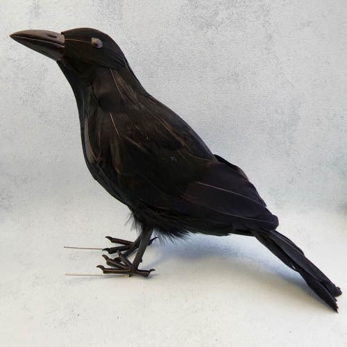 Black Raven (approx. 20x27cm)
