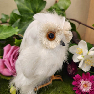 White Feathered Owl