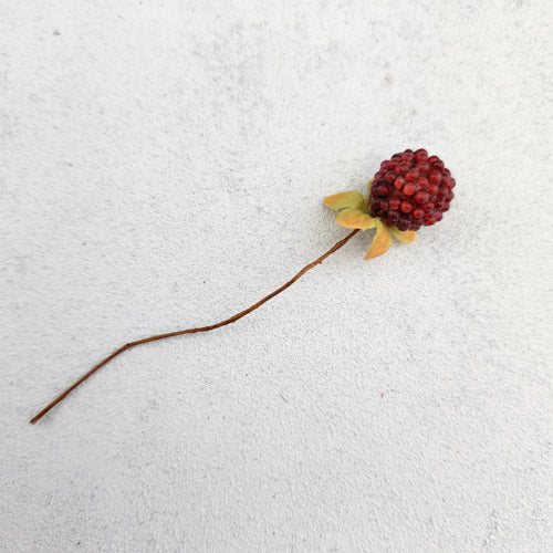 Raspberry Stem (approx. 9cm long)