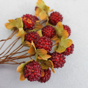 Raspberry Stem